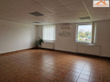 BIP-001913 - 