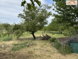 H-002219 - 