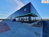 BIP-003100 - 