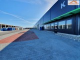BIP-003100 - 