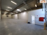 BIP-003100 - 