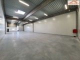 BIP-003100 - 