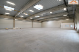 BIP-003102 - 
