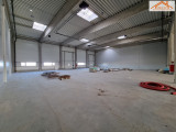 BIP-003113 - 