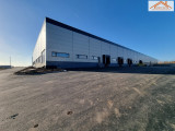 BIP-003113 - 