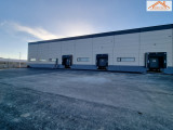 BIP-003113 - 