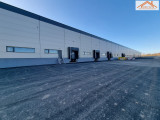 BIP-003113 - 