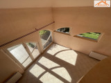 BH-003687 - 