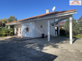 BH-003687 - 