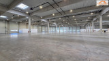 BIP-003955 - 