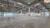 BIP-003955 - 