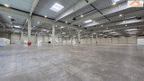 BIP-003955 - 