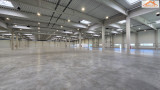 BIP-003955 - 
