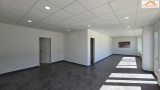 BIP-003955 - 