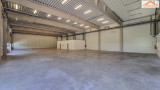 BIP-004037 - 