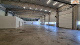 BIP-004037 - 