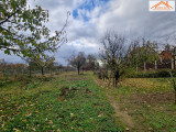 H-004280 - 