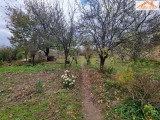 H-004280 - 