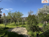 VH-004412 - 