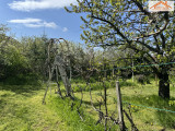 VH-004412 - 