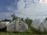 VH-004429 - 