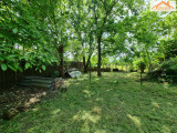 H-004442 - 