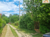 H-004442 - 