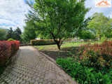 H-004444 - 