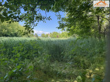 VH-004445 - 