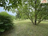 VH-004458 - 