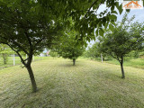 VH-004458 - 