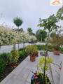 H-004462 - 