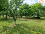 VH-004466 - 
