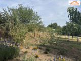 VH-004487 - 