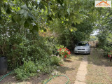 VH-004515 - 