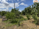 VH-004515 - 