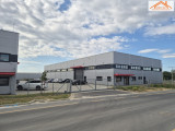 IP-004528 - 