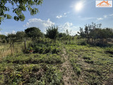 H-004534 - 