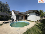 H-004556 - 
