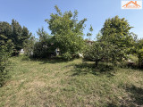 H-004556 - 