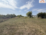 H-004556 - 