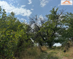 VH-004575 - 