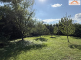 H-004606 - 