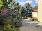 H-004636 - 