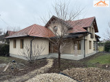 H-004699 - 