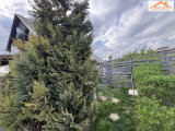 VH-004805 - 