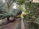 H-004953 - 