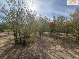 VH-004961 - 