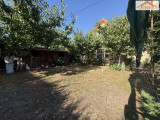 H-004972 - 