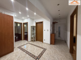 H-004981 - 